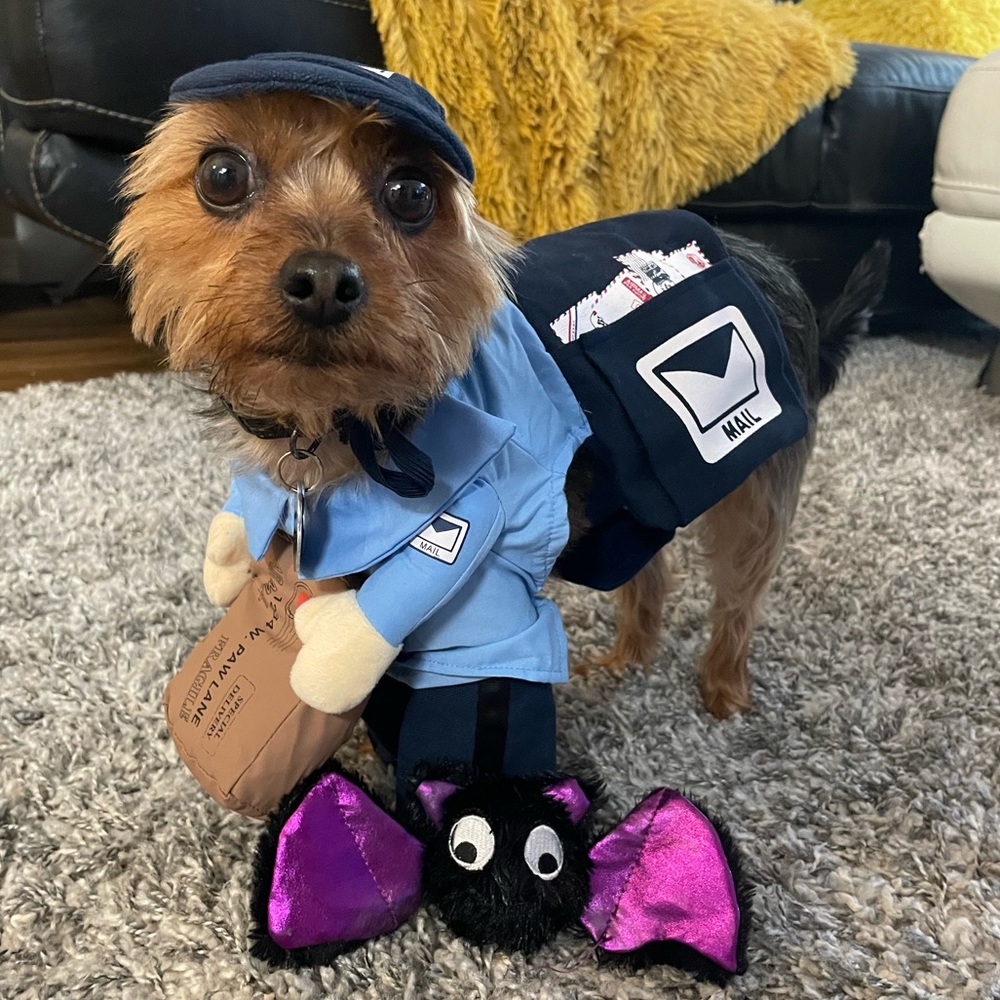 Post Office Dog Halloween Costume USPS - Small